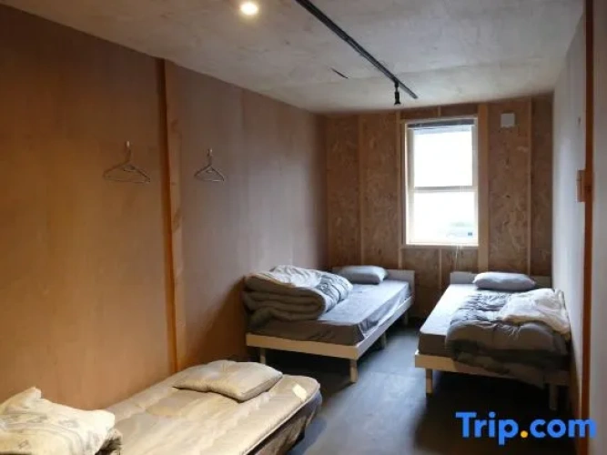 Standard Triple room with city view