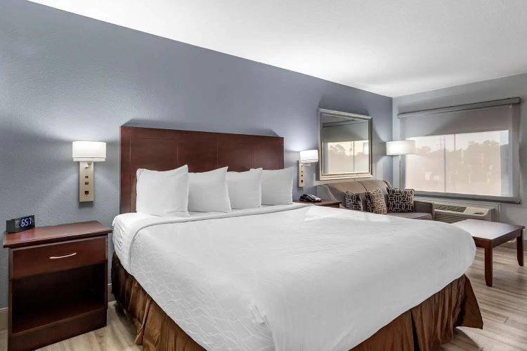 La Quinta Inn Vidor