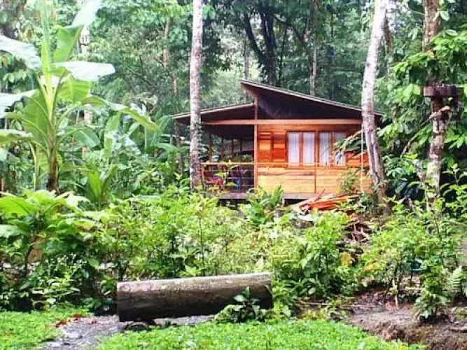 El Tucan Jungle Lodge