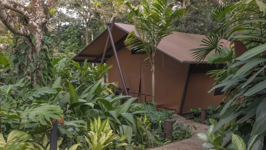 Tocu Tent Camp