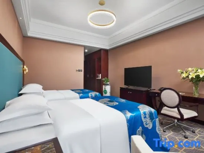 Standard Double room with mountain view