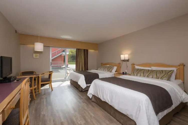 Standard Double Basement room