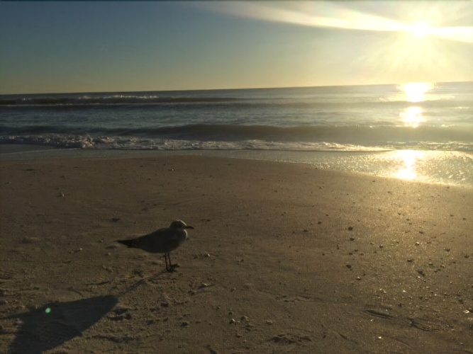 Beach