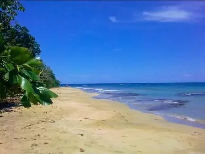Los Congos