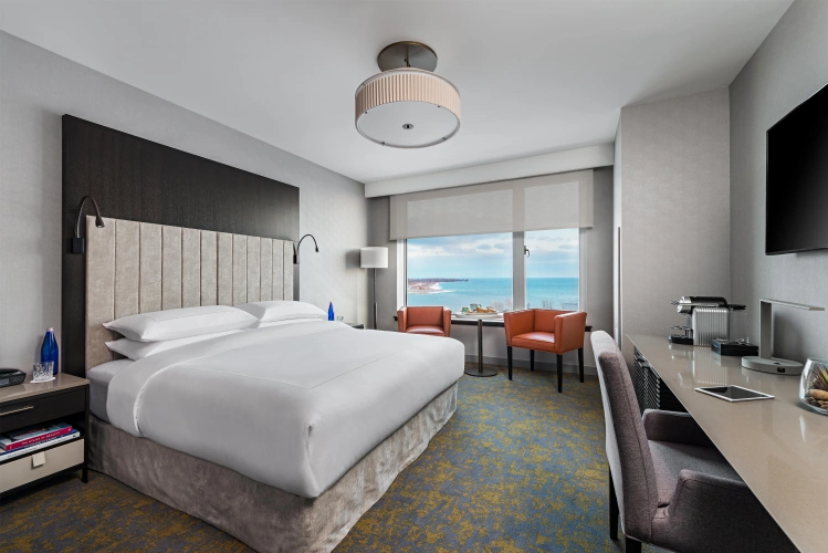 Standard Double room with lake view
