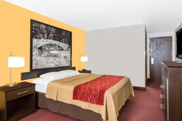 Standard Double room