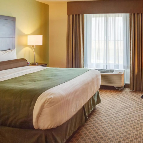 Cobblestone Inn & Suites - Waverly