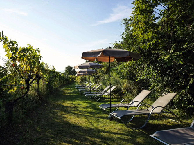 Steigenberger Hotel & Spa Krems Over view