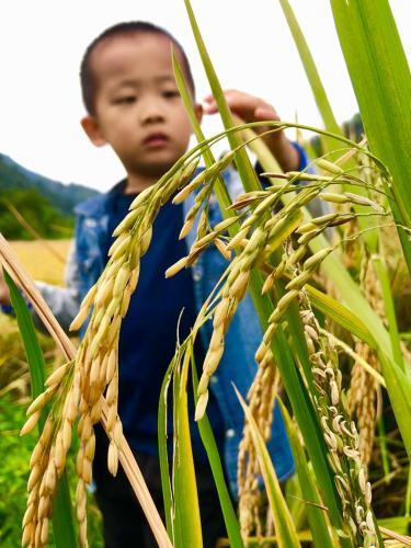 Longmen HostelOver view