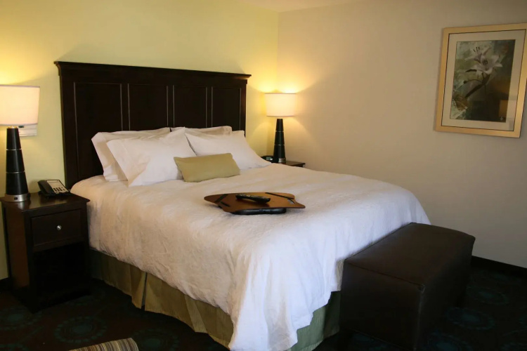 Hampton Inn & Suites Wilder