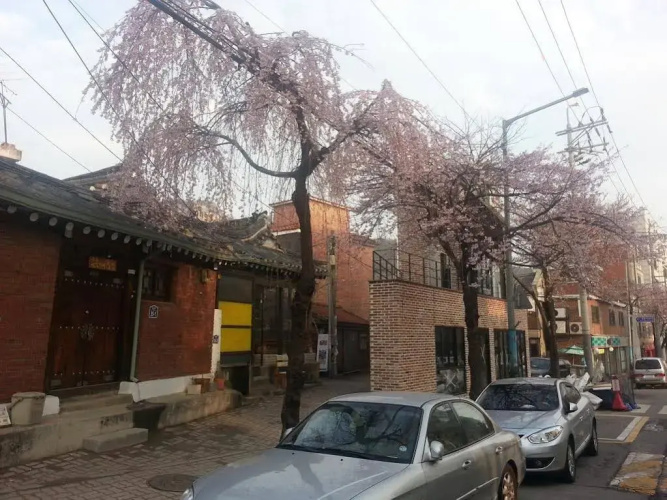 Suninjae