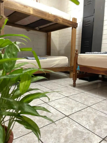 Pool House Hostel