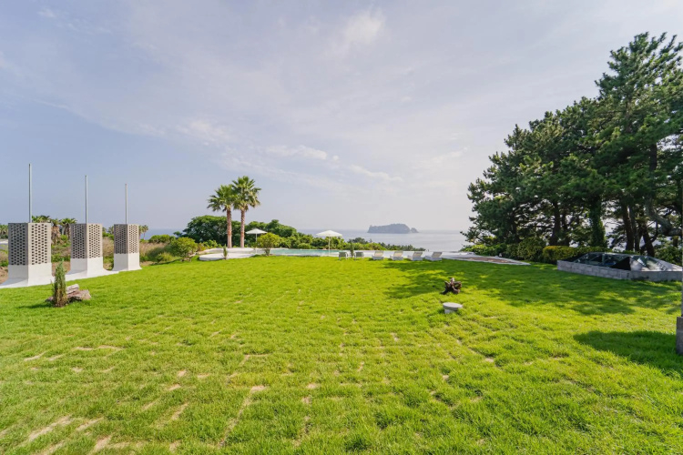 Vila Omuamua