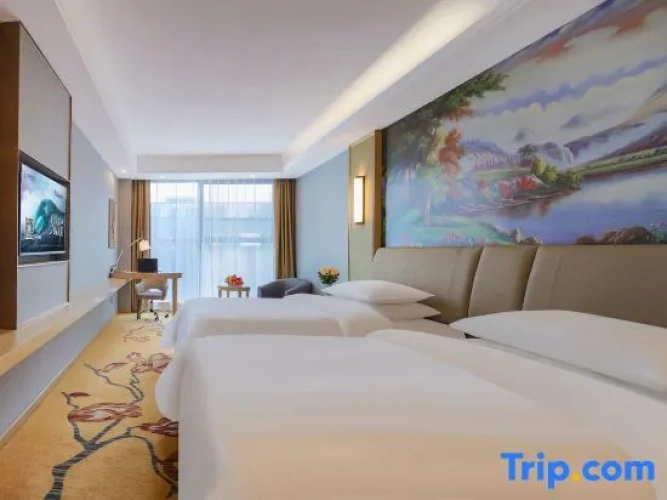 Superior Double room with city view
