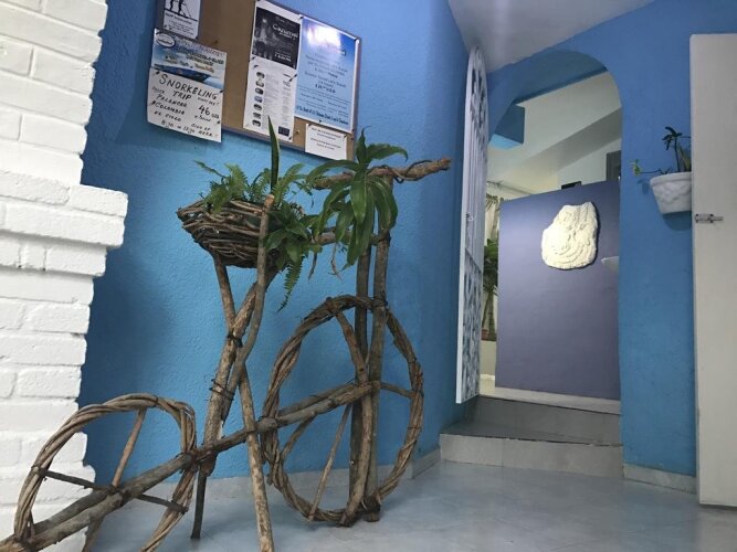 Imagen de Caribo Cozumel
