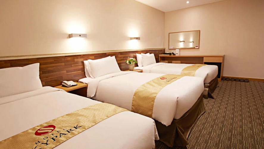 Hotel Skypark Myeongdong I Over view