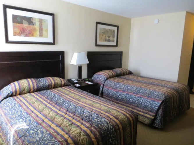 Executive Quadruple room
