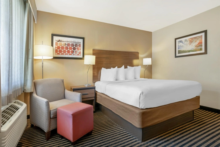 Standard Double room