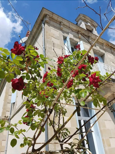 Chateau de L'Allee