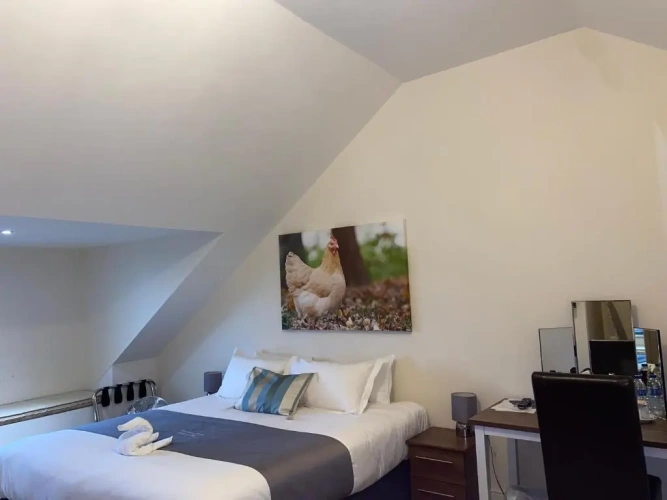 Deluxe Double room