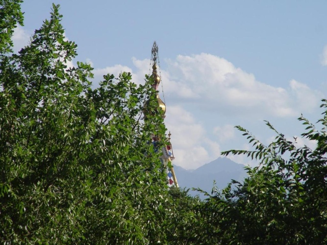 1 Bedroom Apartment with balcony and with view