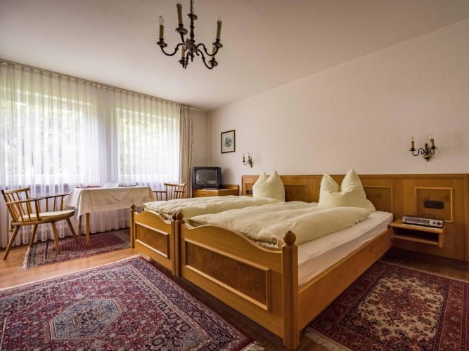 Standard Double room with mountain view