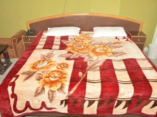 Hotel Sharma Palace
