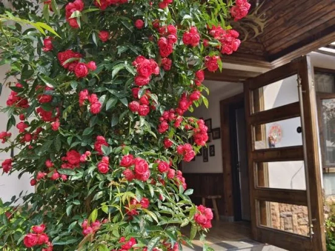 Outside