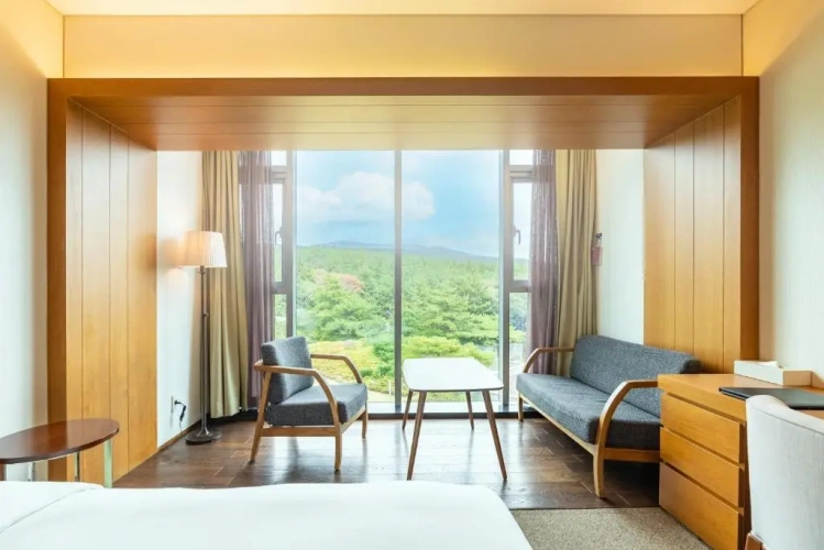 Superior Twin room with mountain view