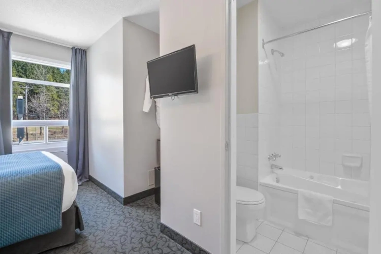 Standard Double room with lake view