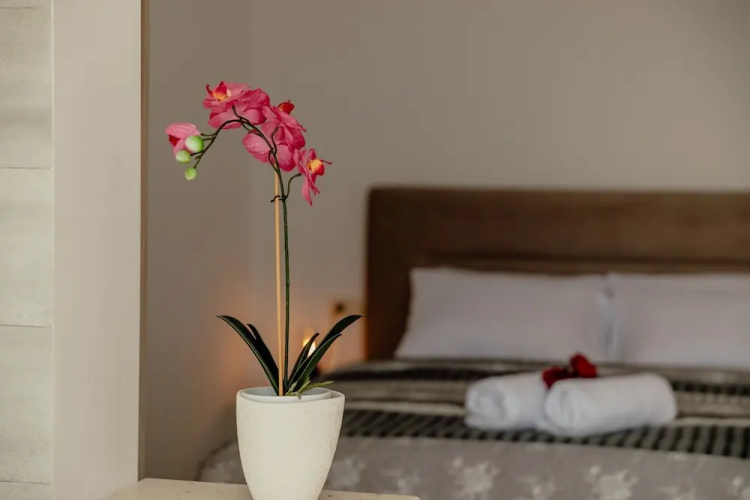 Apartmani Belvedere