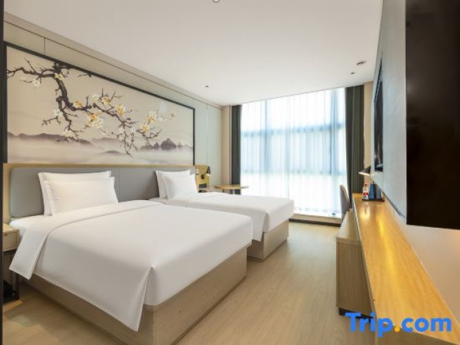 Standard Twin room with city view