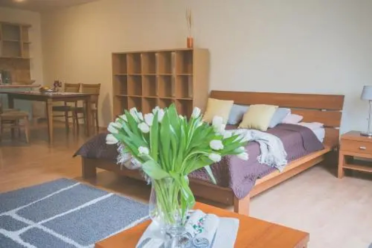 Apartamenty Przy Zamku