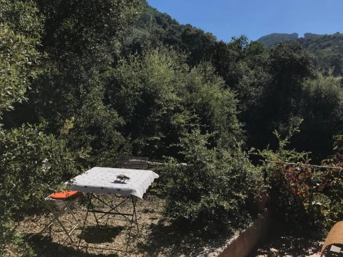 Standard Double room with mountain view