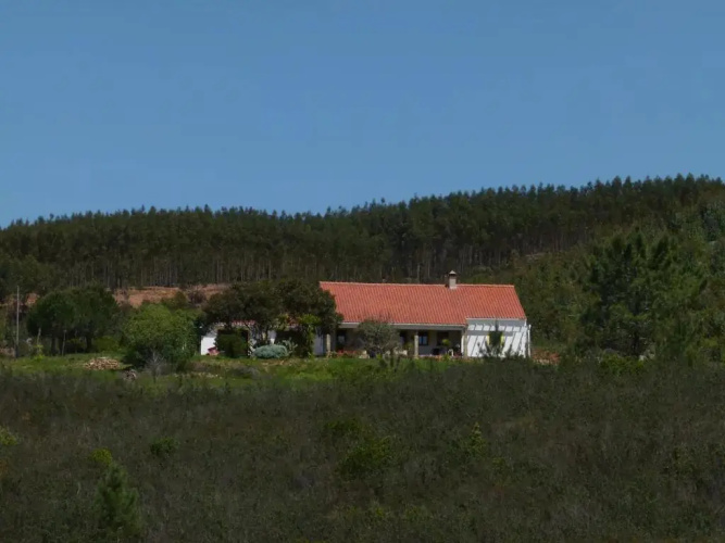 Quinta Reuffurth