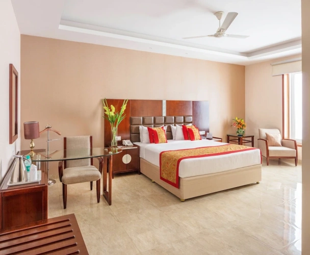 Deluxe Double room