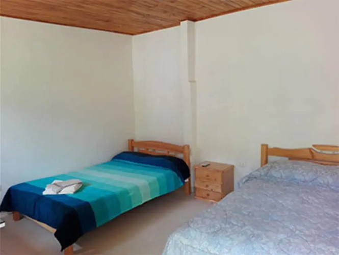 Buganvilla