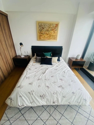 Luxury Apartment