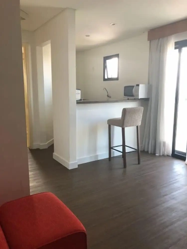 Luxury Apartment