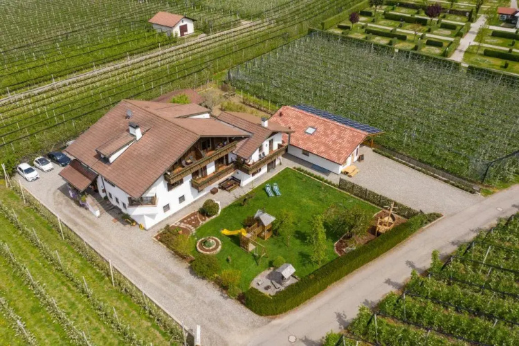 Kammerhof Apartment Traube