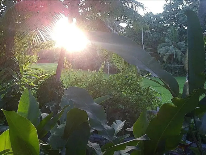 意外珍宝之屋外景图