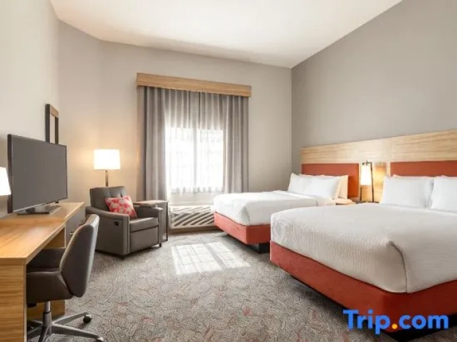 1 Bedroom Quadruple Suite