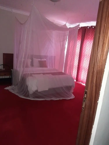Deluxe Single room with garden view