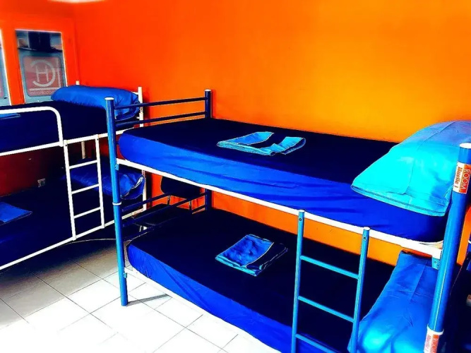 Larios Cool Hostel
