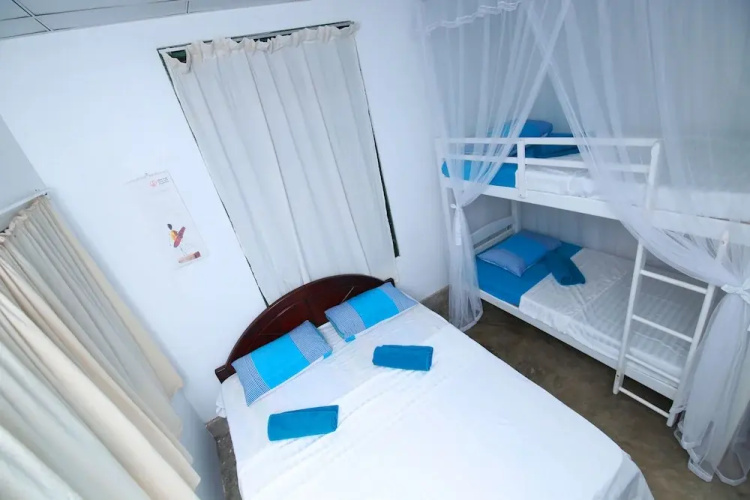 Bluefin Adventure - Hostel
