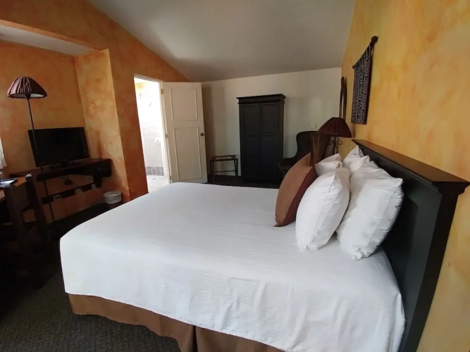 Standard Single room with view