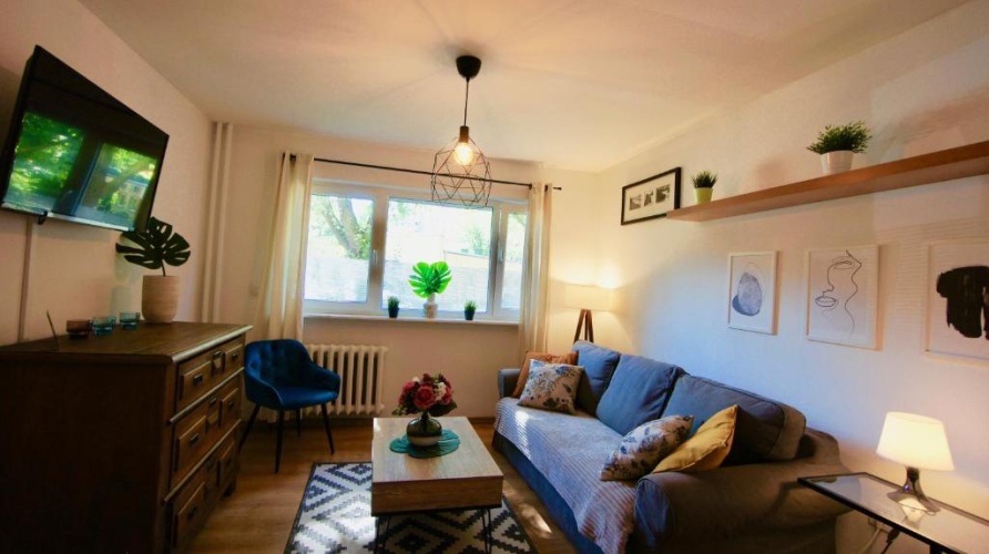 1 Bedroom Apartment