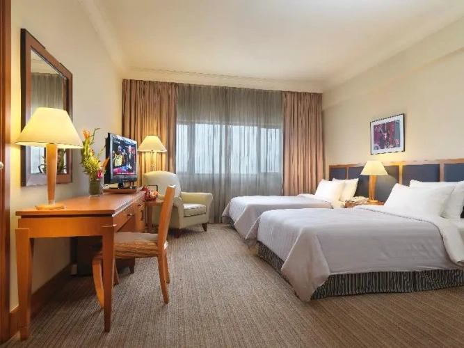 Deluxe Double room with city view
