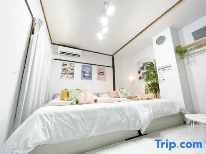 Single Apartment