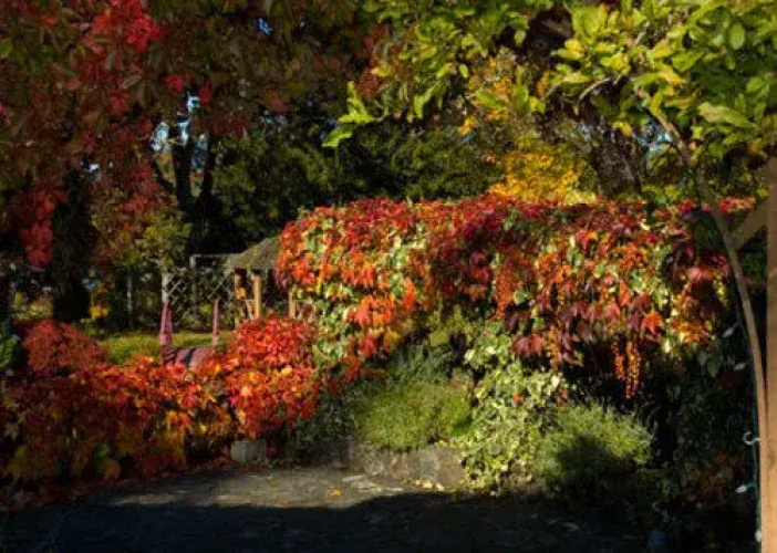 Quamichan Inn